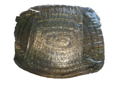 Bild von R1003,195